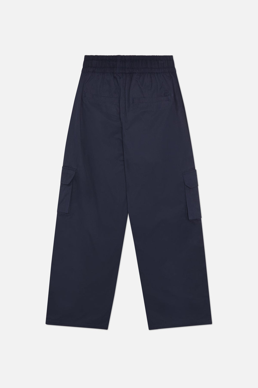 Nectar Navy Pants