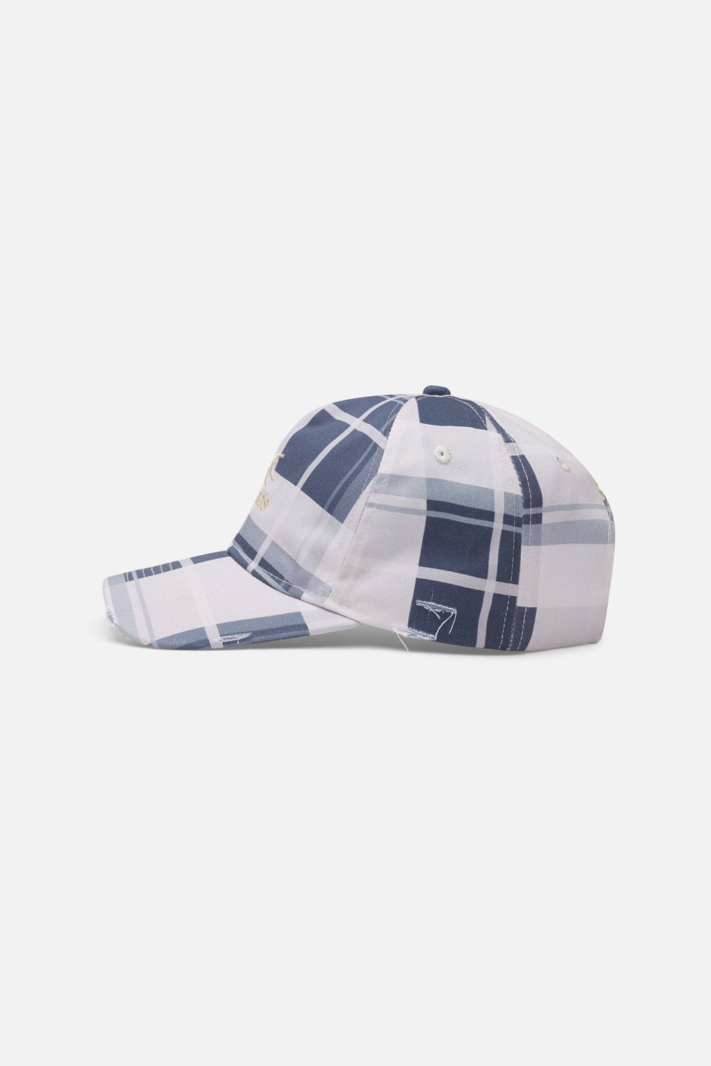 Checks Blue Cap